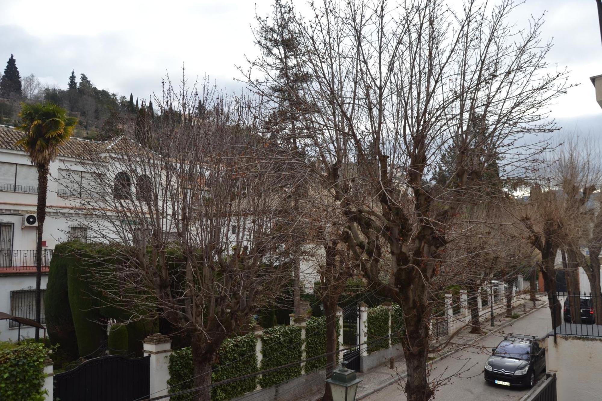 Apartament Carmen Del Cadi Grenada Zewnętrze zdjęcie