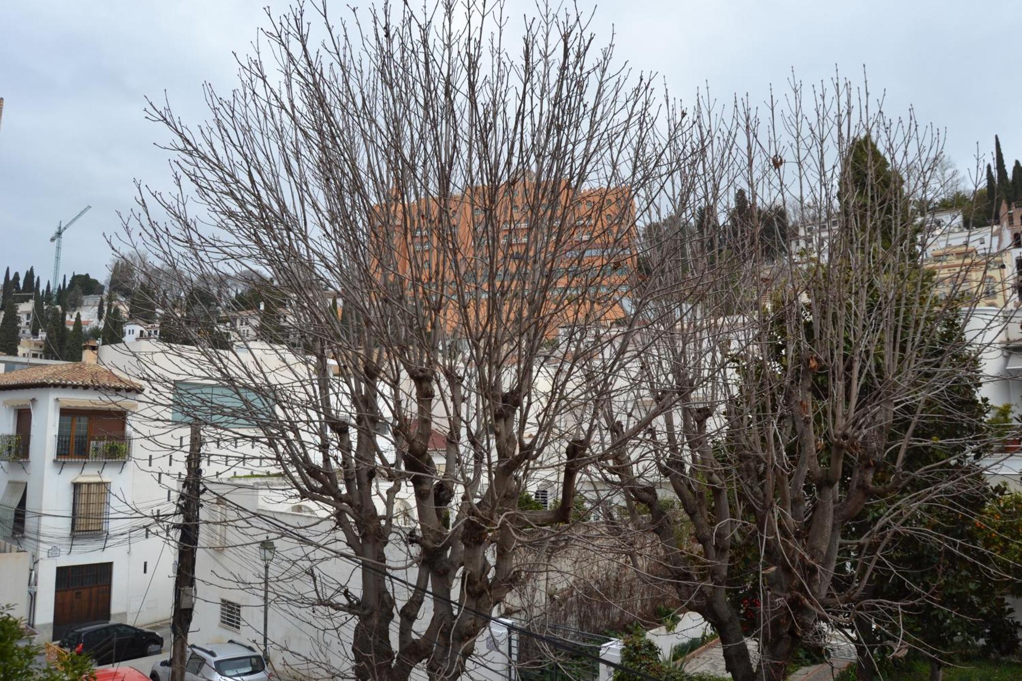 Apartament Carmen Del Cadi Grenada Zewnętrze zdjęcie